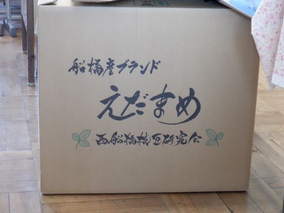 船橋産のえだまめ