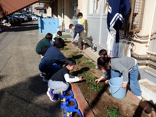 花壇の手入れかな？