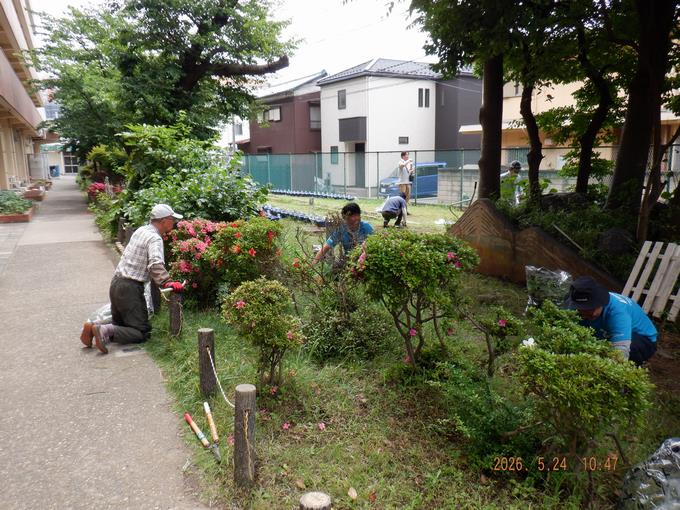 池まわり