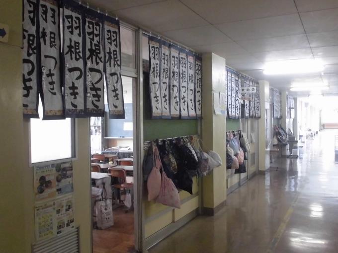 5年生