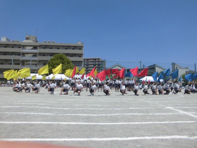 6年生