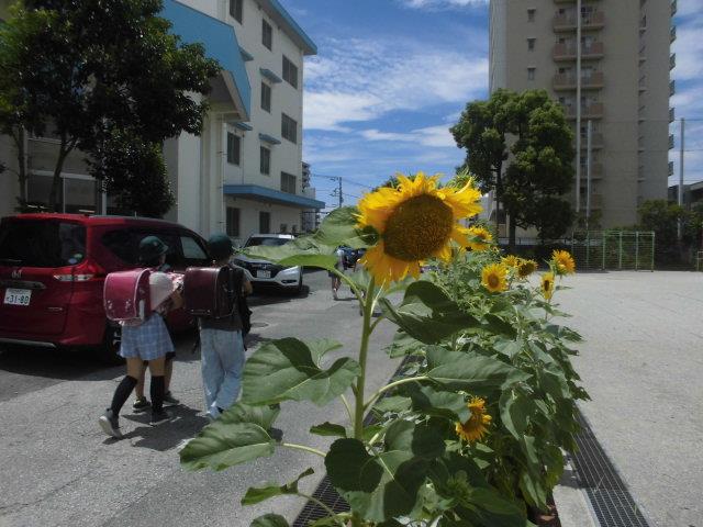 有意義な夏休みを