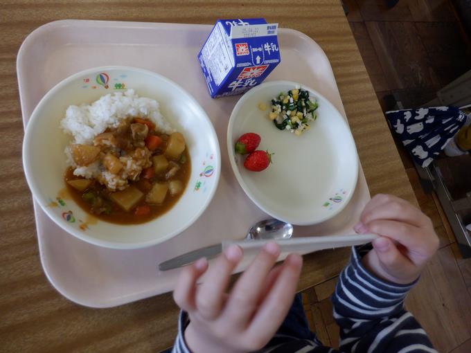 カレーライスだ