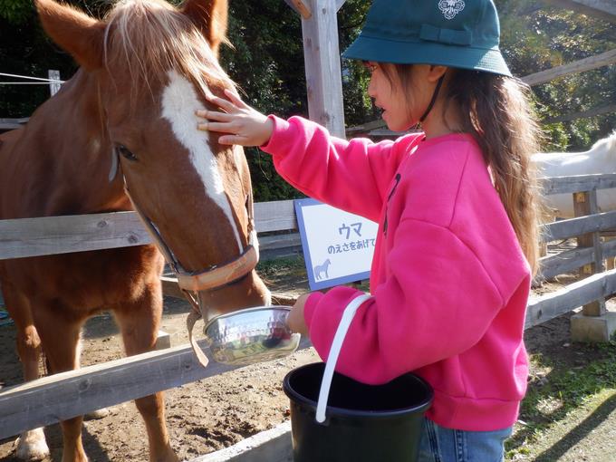 ふさふさしてる