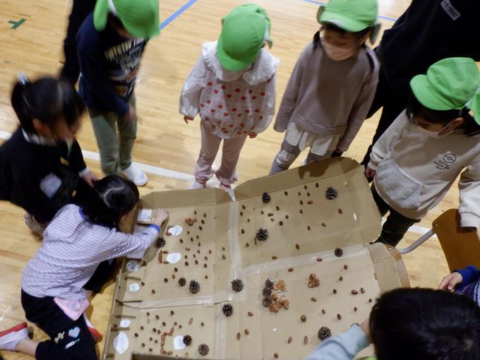 木の実のコリント