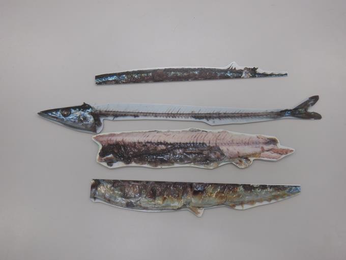 秋刀魚の食べ方