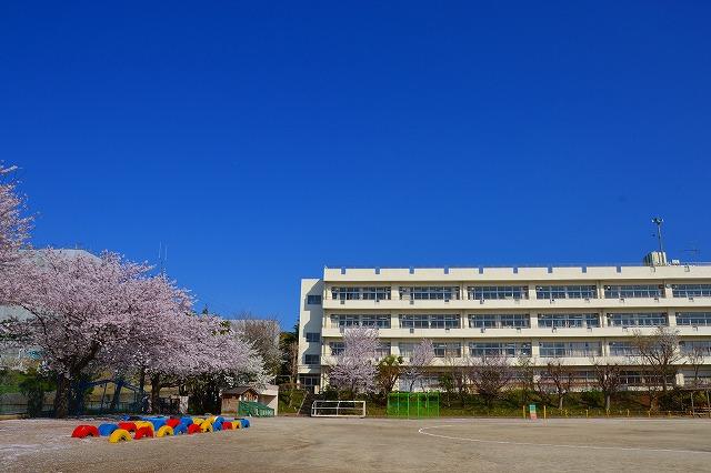 花5