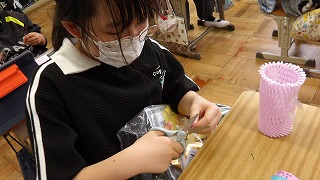 実際に完成させてランプを灯すのが楽しみですね