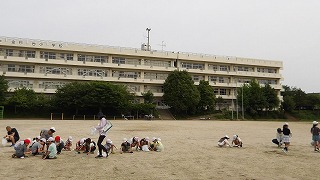 1年生から6年生まで、グラウンドの草取りをしました