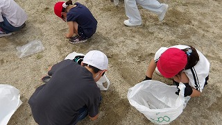 小さな草でも、根が深く抜くのがなかなか難しそうです