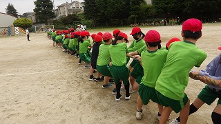 綱引きは実際に競技しました。白、赤それぞれ一勝ずつ。本番はどうなるのでしょうね!