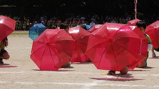 傘を開くタイミングを合わせ、とても美しい表現ができました