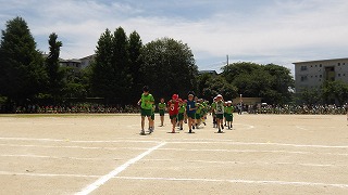 選手入場、堂々としてかっこよいです