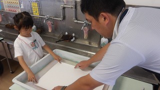 マーブリングを体験しています。偶然できる模様に目を輝かせています