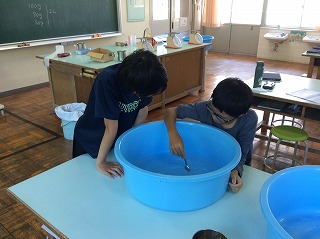 たらいに洗剤を入れて、手洗いを試みます