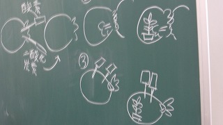 2つのものをある条件のみを変えて実験して検証する科学的視点も出されました