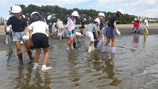 グループでスコップとトレーを持っていよいよ生き物探し。