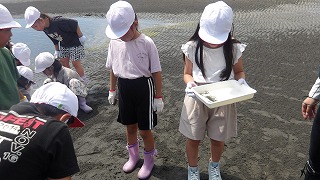 たくさんの生き物を捕まえることができ、子供たちも熱中しています