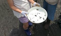 生き物見つけたよ