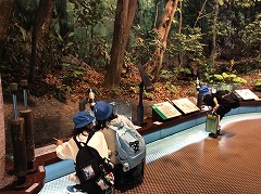 茨城県自然博物館