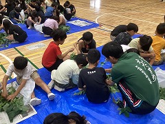 枝豆収穫の様子③