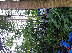 植物館 探検の様子