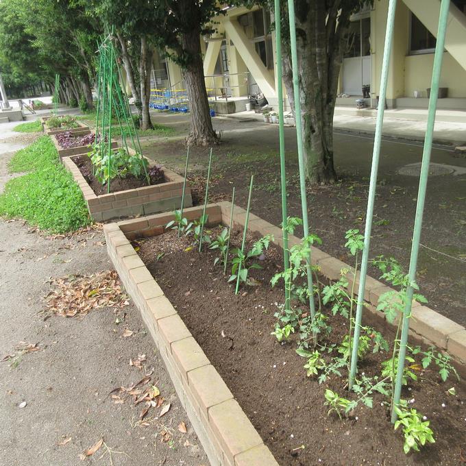 あおぞら学級花壇