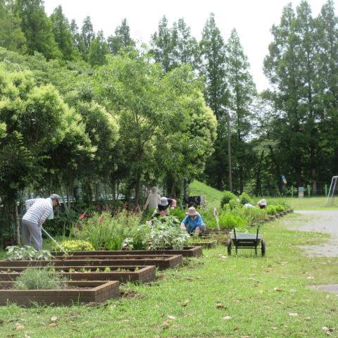 花壇整備