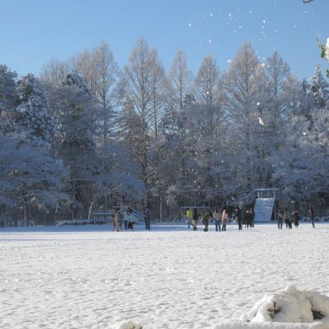 ゆき遊びは?