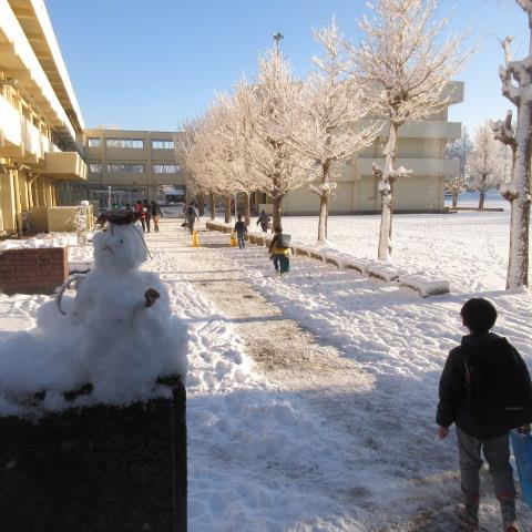 雪の銀杏並木