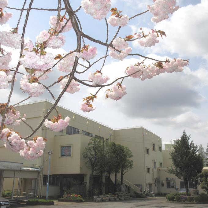 八重桜と校舎