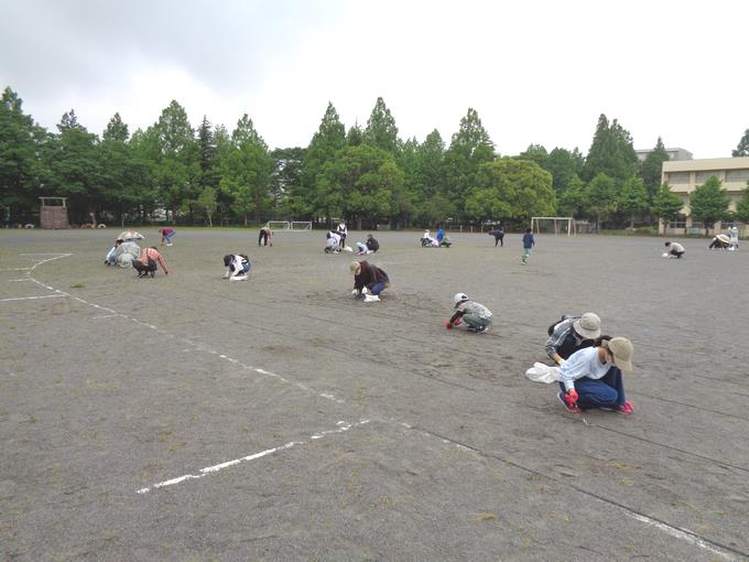 除草活動