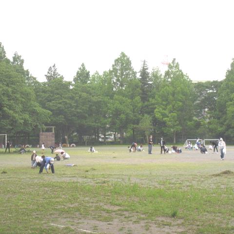 除草活動