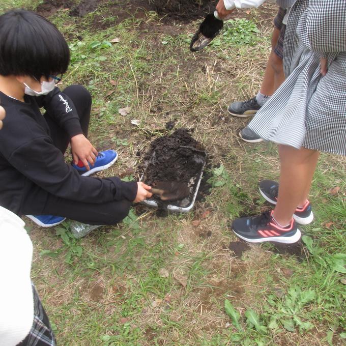 土に水を流してみると