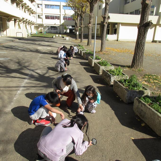 太陽の光をレンズを通して集めると・・・