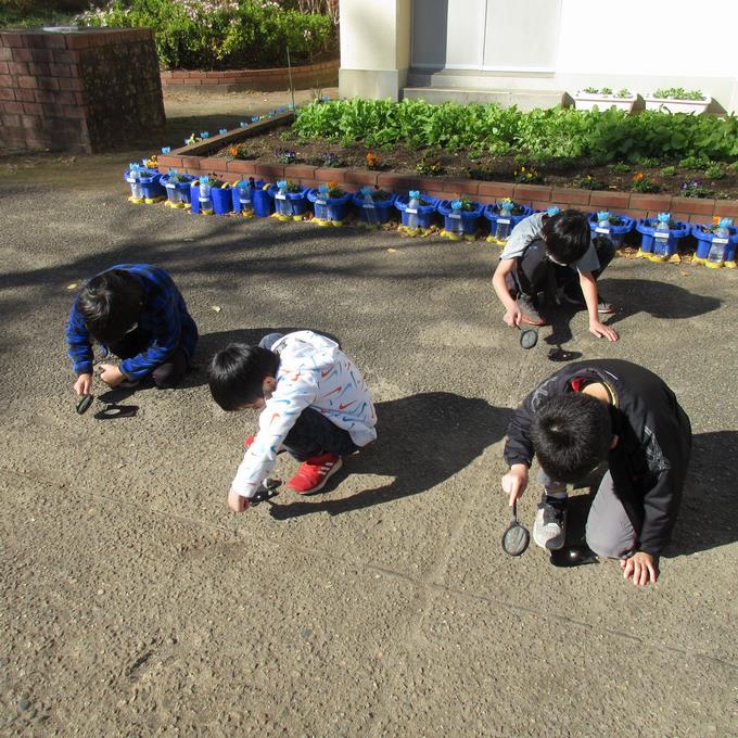 日光を集める!