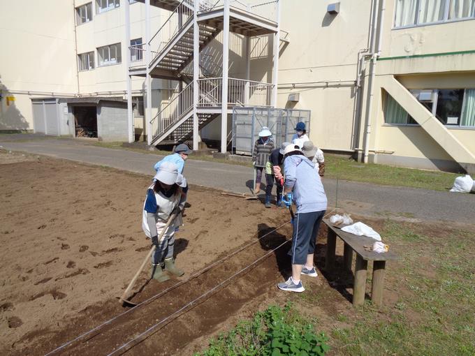 畝づくり