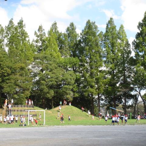 築山ゾーン