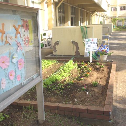 人権の花を咲かせよう