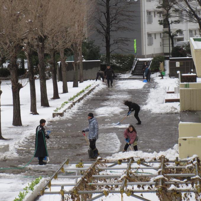 雪かきで安全確保