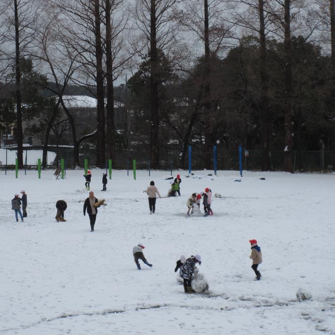 雪雪雪！一面雪