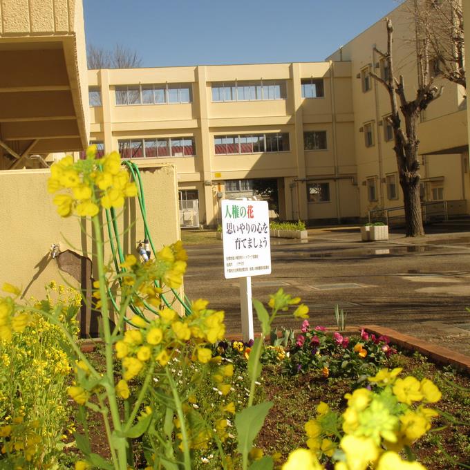 人権の花