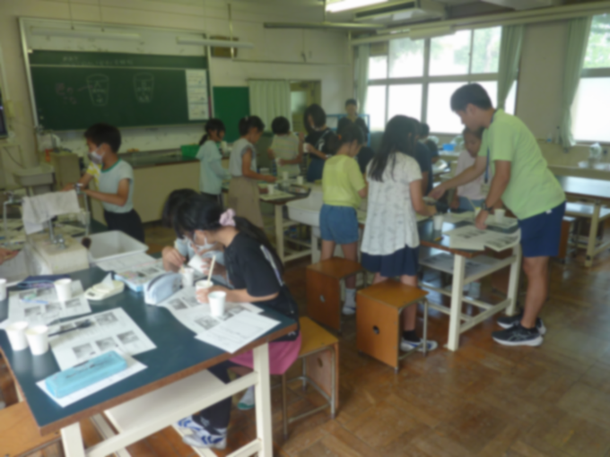 スライム、おもしろい!