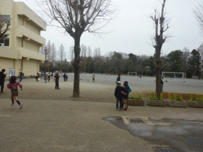 みんな遊びに夢中です