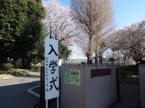 入学式1