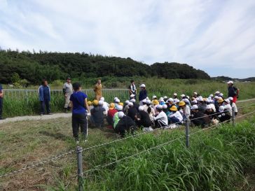 感謝の気持ちを伝えます