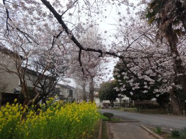 明日は始業式！