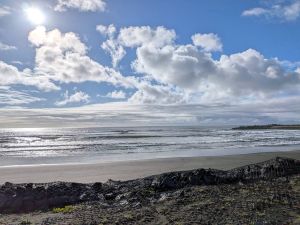一宮の朝・海岸散歩