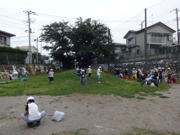 クリーンデー