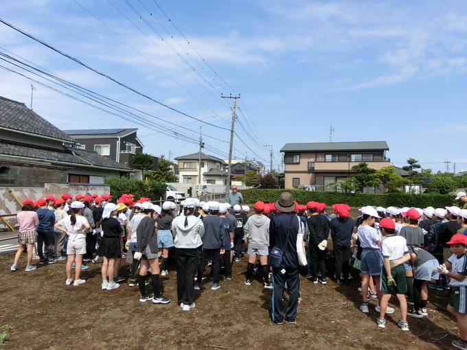 植え付けの様子1